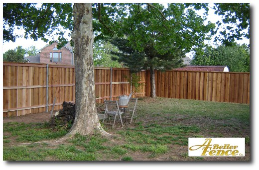 Nice backyard view.  Fence installed Summer 2010.