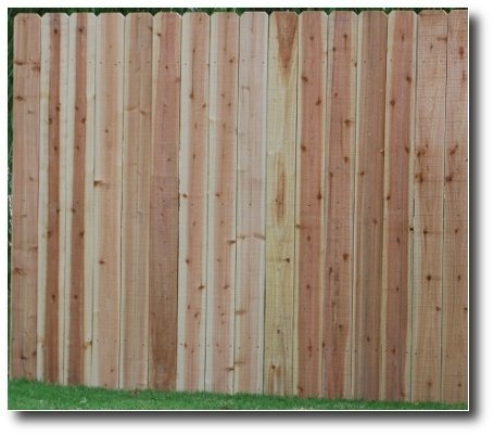 Solid cedar privacy fence panel, 6